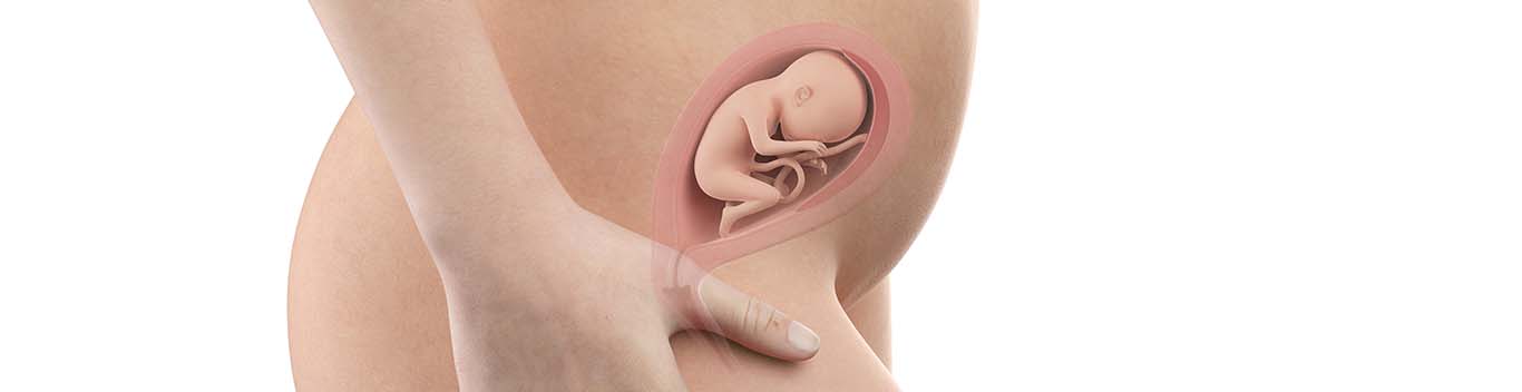 Weeks Pregnant Belly Symptoms Huggies