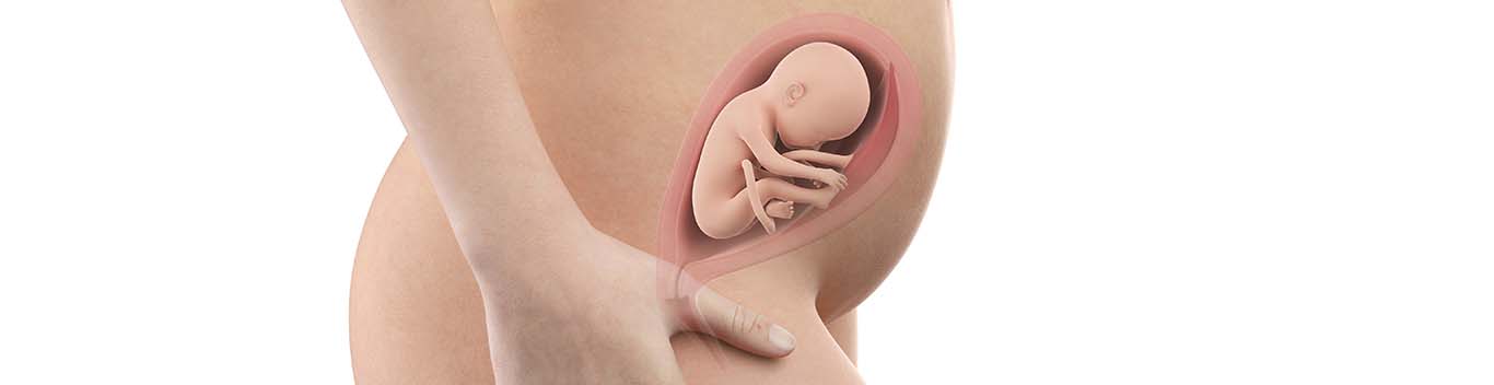 24 weeks pregnant carrying low new arrivals